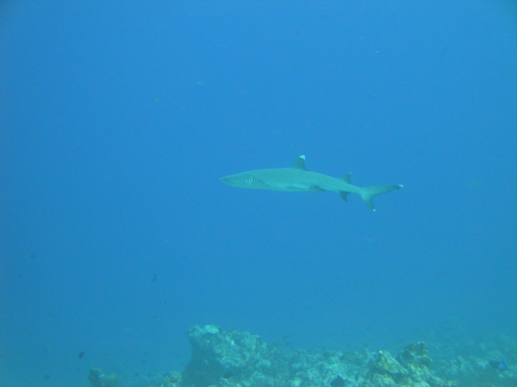 DSC00536.JPG