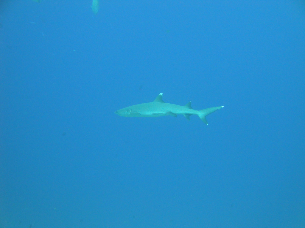 DSC00537.JPG