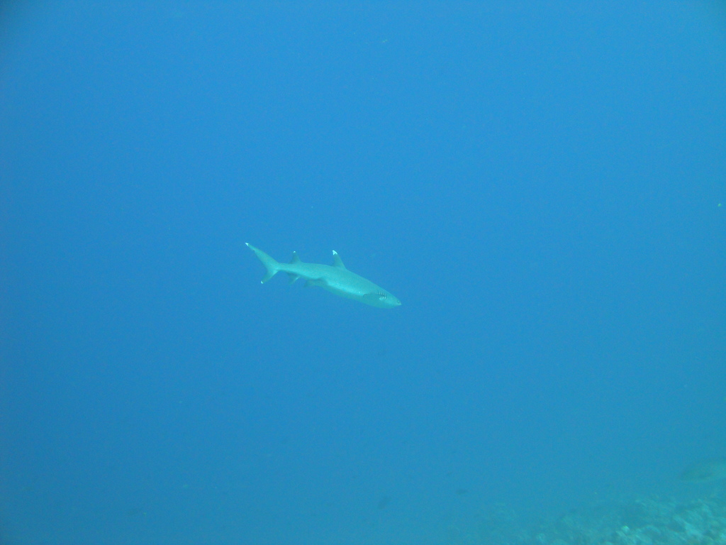 DSC00544.JPG