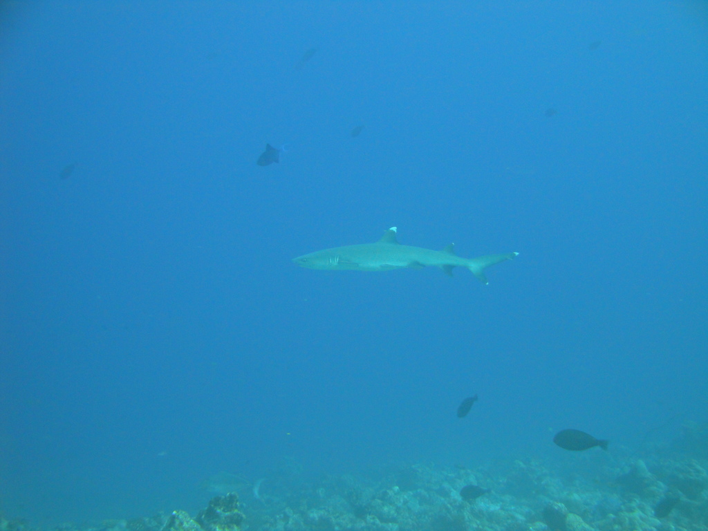 DSC00545.JPG