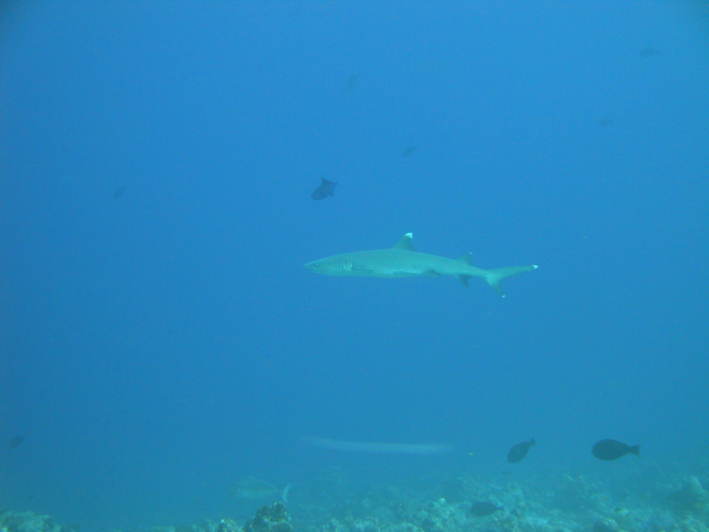 DSC00546.JPG