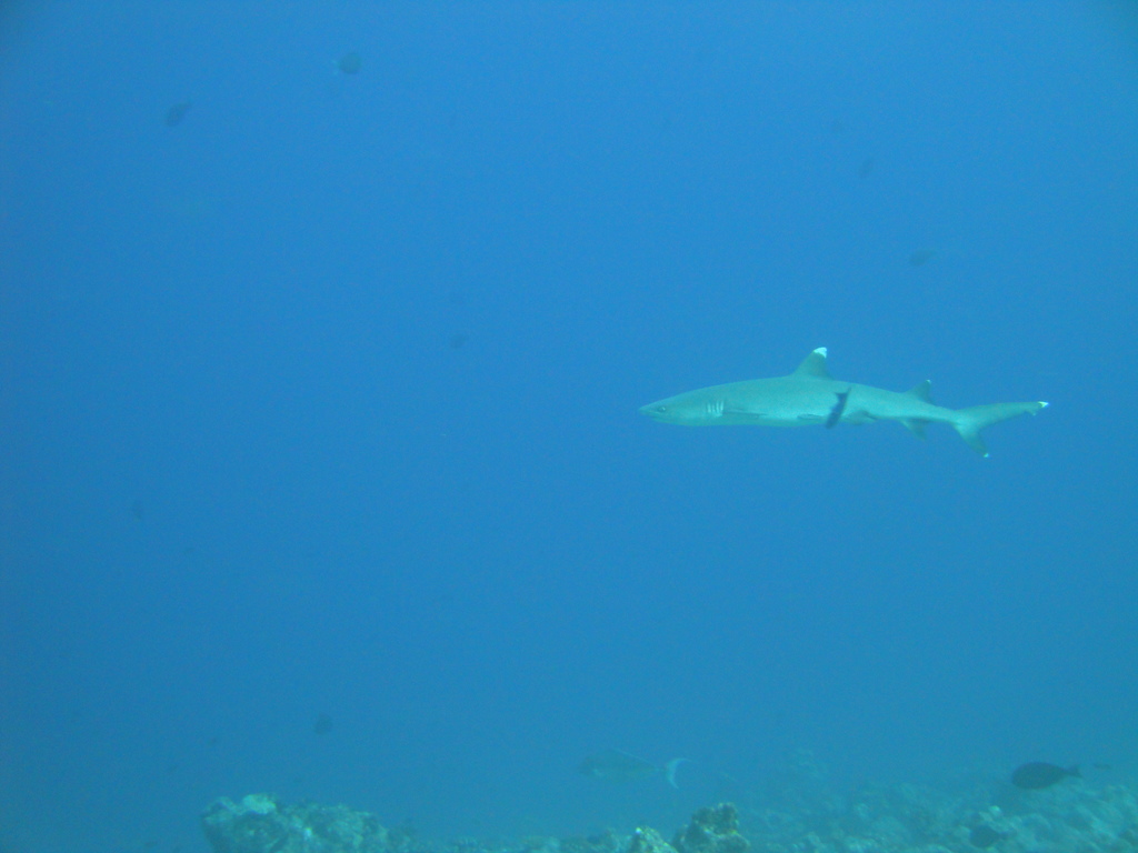 DSC00548.JPG