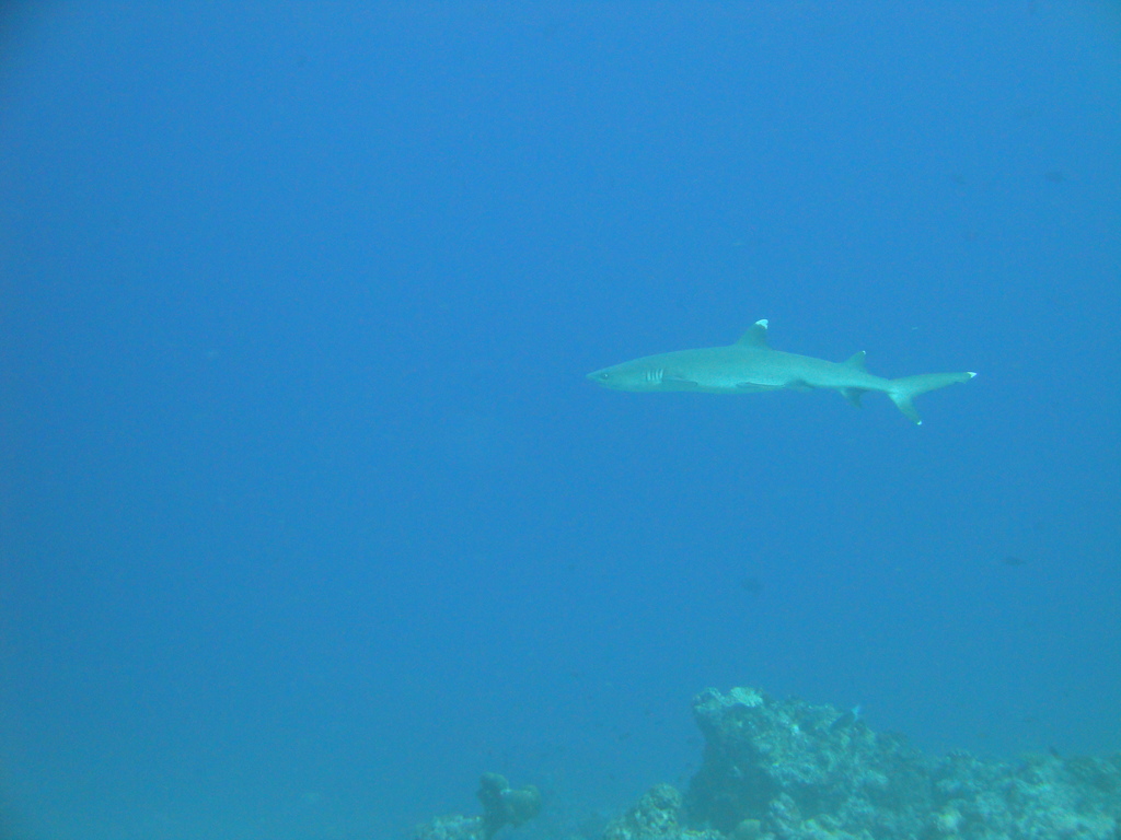 DSC00564.JPG