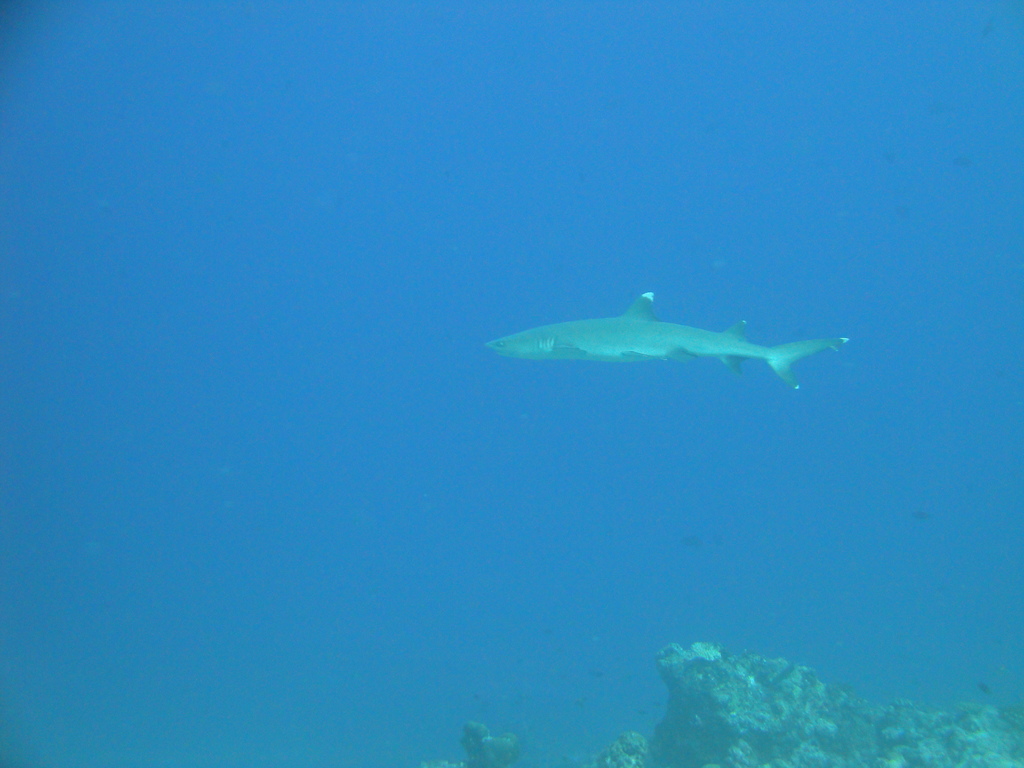 DSC00565.JPG