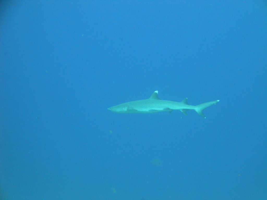 DSC00566.JPG