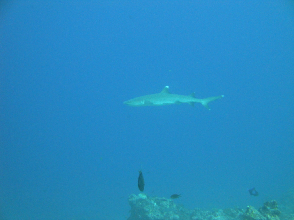 DSC00581.JPG