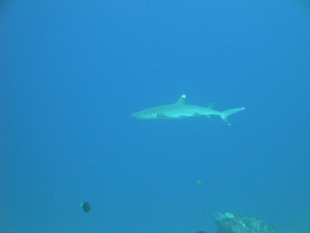 DSC00584.JPG