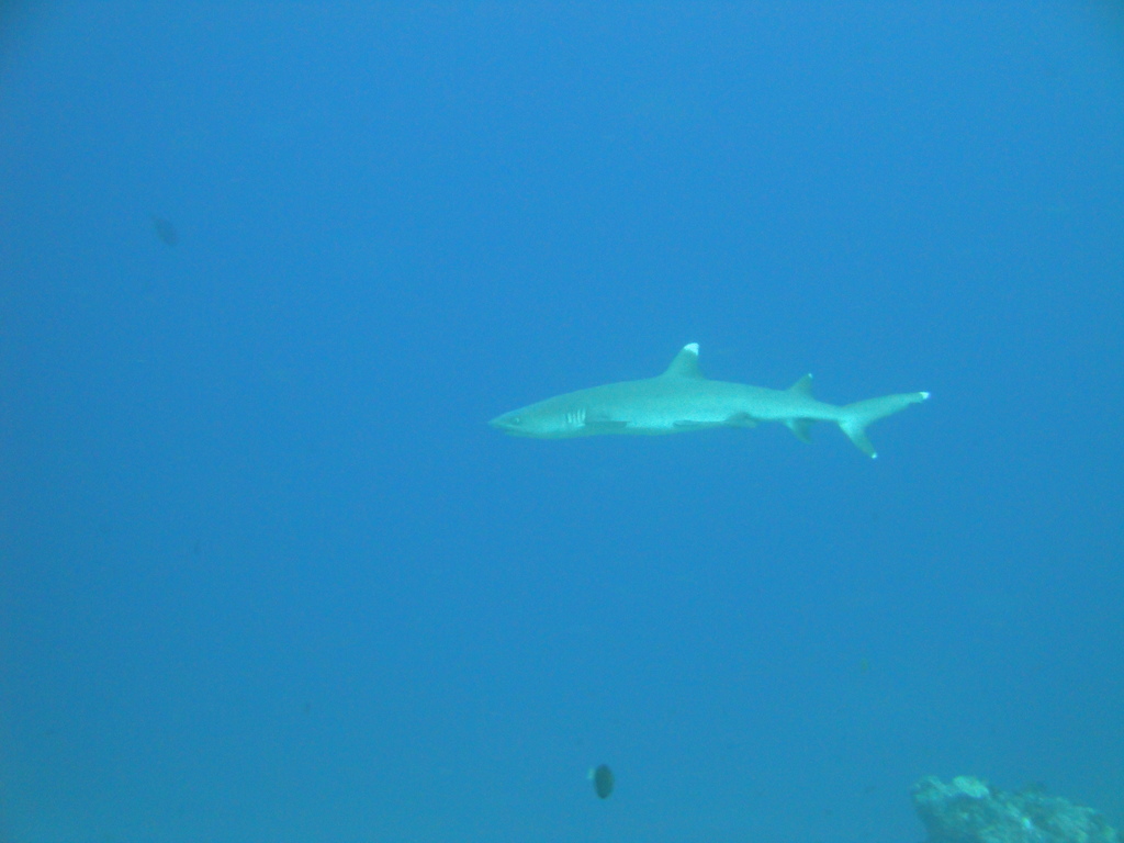 DSC00585.JPG