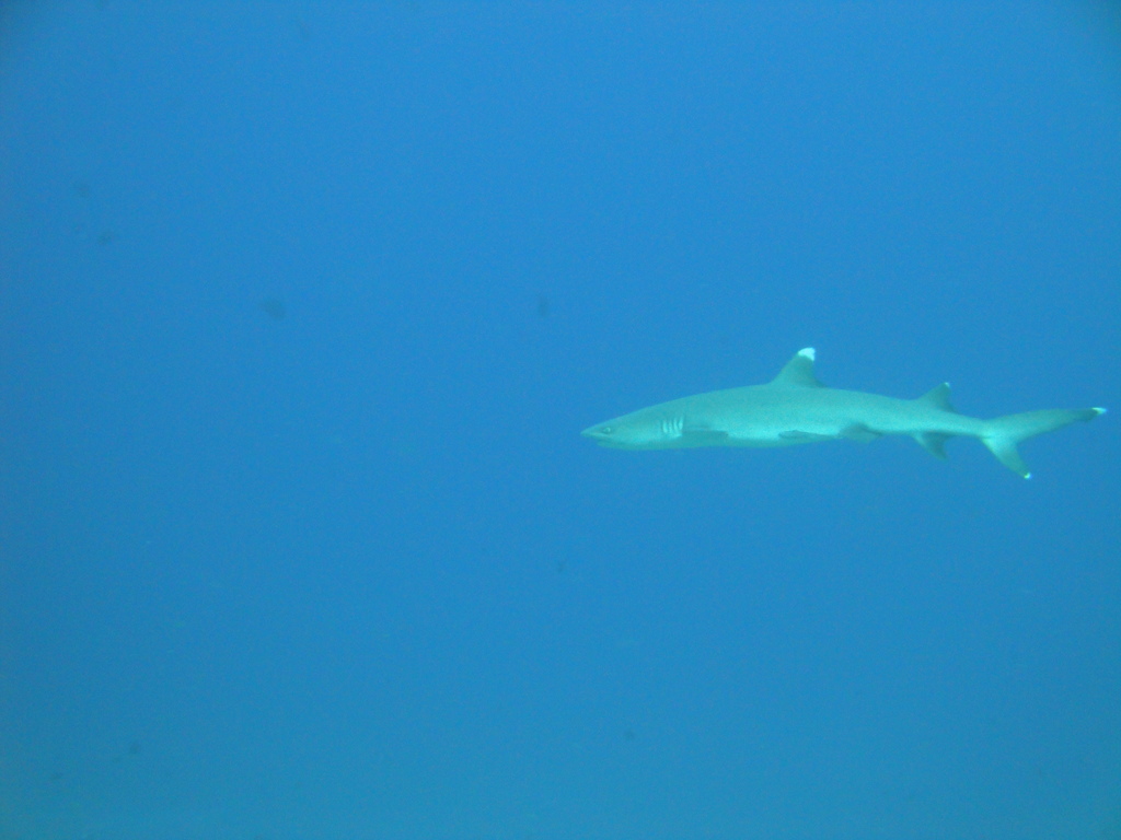 DSC00586.JPG