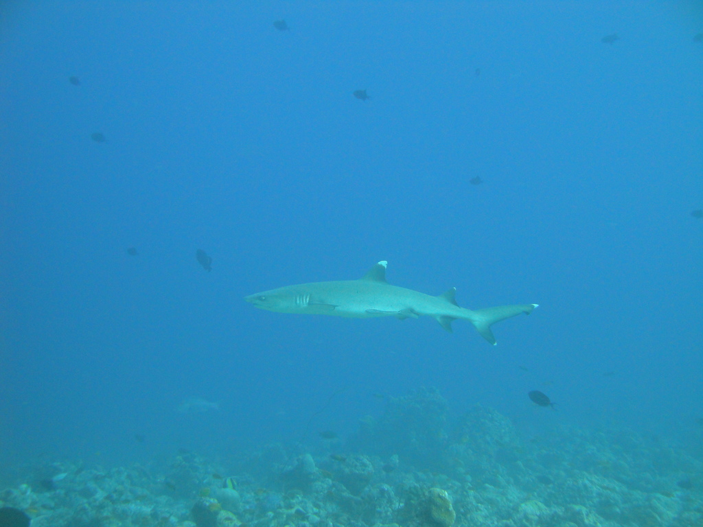DSC00604.JPG