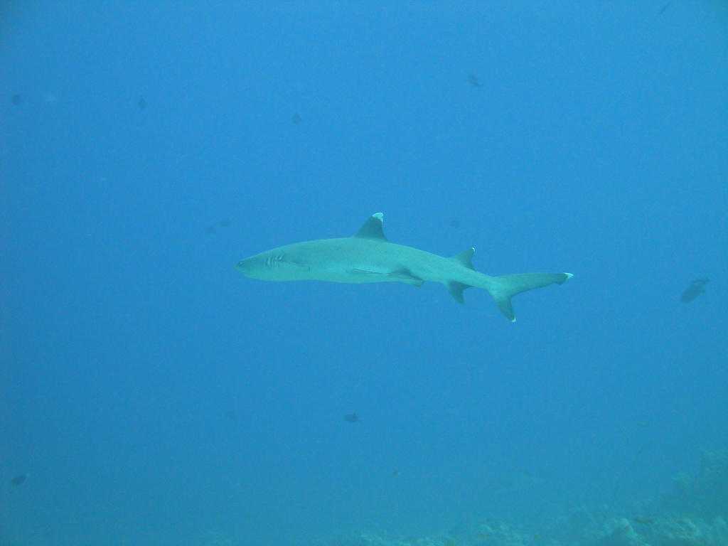 DSC00606.JPG