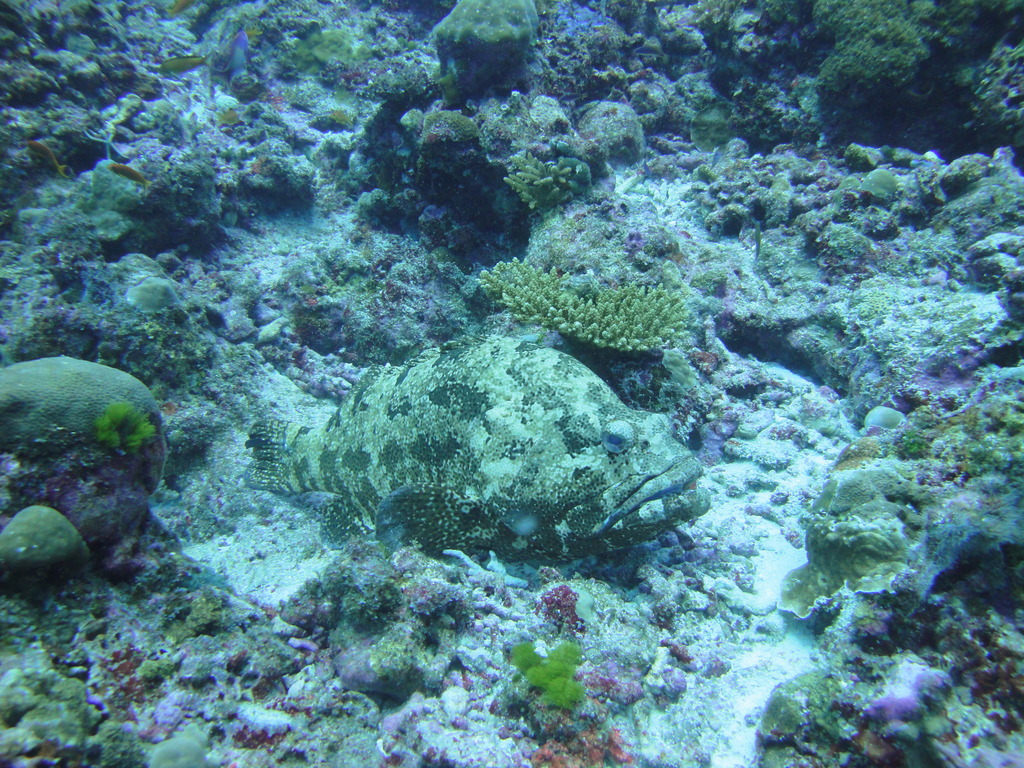 DSC00623.JPG
