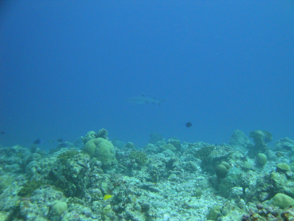 DSC00647.JPG