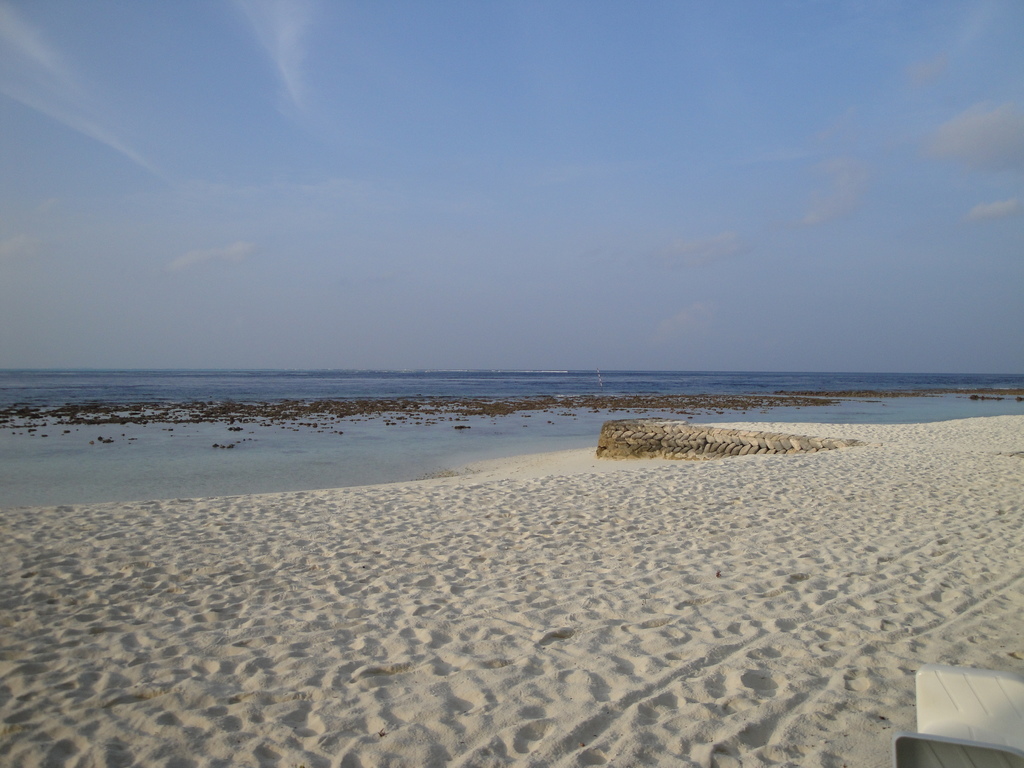 DSC00652.JPG