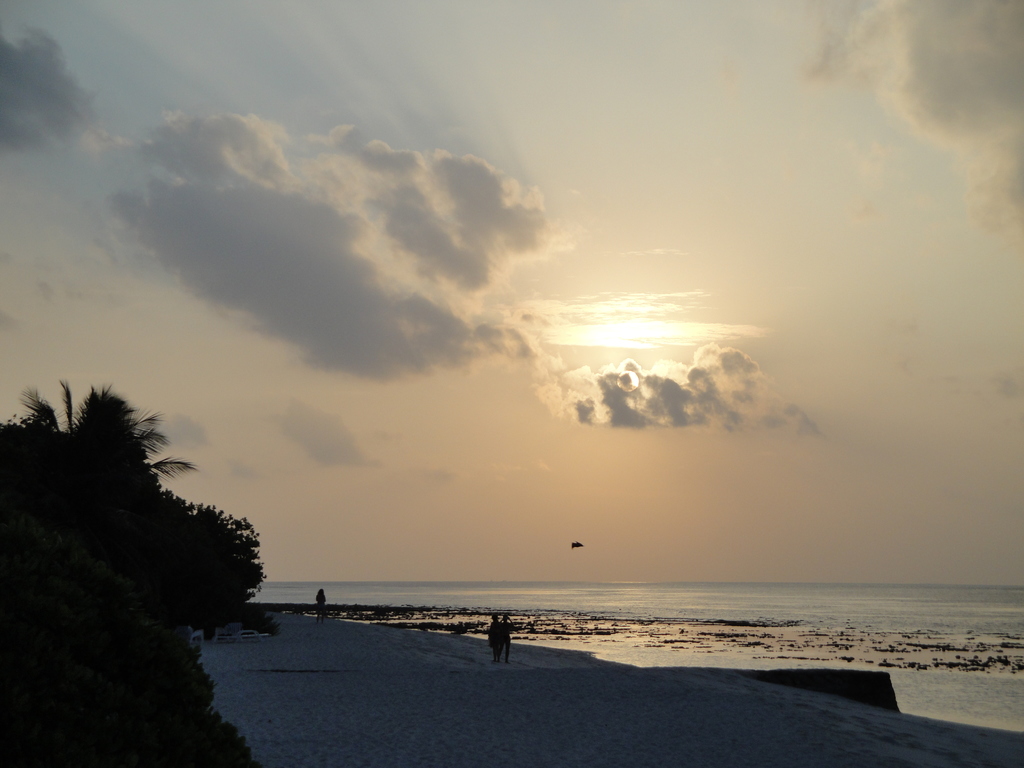 DSC00656.JPG