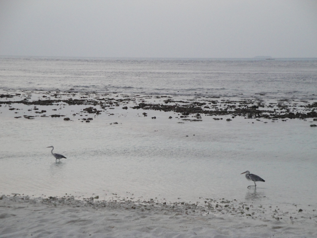 DSC00667.JPG