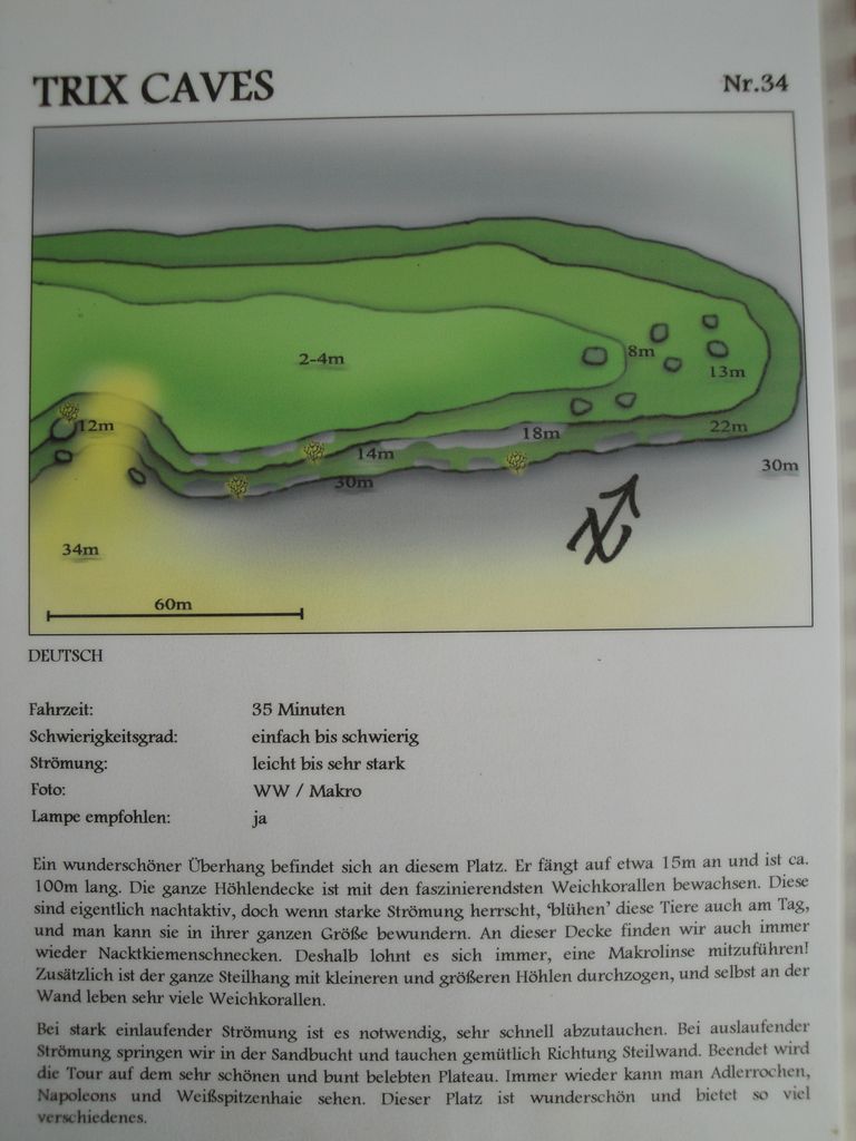 DSC00760.JPG