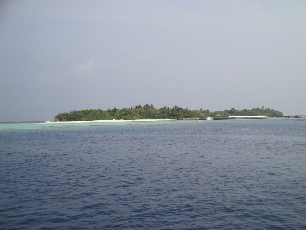 DSC00765.JPG