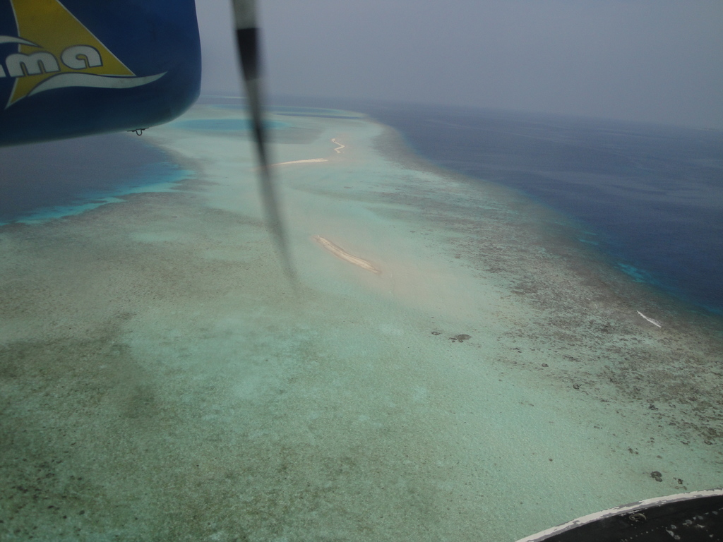 DSC00770.JPG