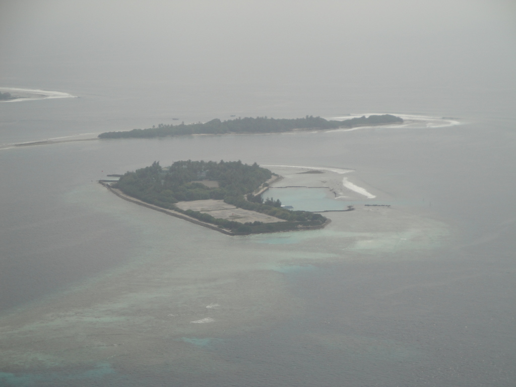 DSC00781.JPG
