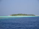 Filename=DSC00023.JPG
Filesize=256KiB
Dimensions=1024x768
Date added=Aug 05, 2014 DSC00023.JPG