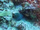 Filename=DSC00025.JPG
Filesize=482KiB
Dimensions=1024x768
Date added=Aug 05, 2014 DSC00025.JPG