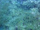 Filename=DSC00028.JPG
Filesize=463KiB
Dimensions=1024x768
Date added=Aug 05, 2014 DSC00028.JPG