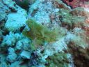 Filename=DSC00029.JPG
Filesize=409KiB
Dimensions=1024x768
Date added=Aug 05, 2014 DSC00029.JPG