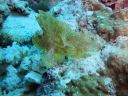 Filename=DSC00030.JPG
Filesize=404KiB
Dimensions=1024x768
Date added=Aug 05, 2014 DSC00030.JPG