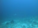Filename=DSC00036.JPG
Filesize=271KiB
Dimensions=1024x768
Date added=Aug 05, 2014 DSC00036.JPG