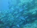 Dateiname=DSC00097.JPG
Dateigröße=322KB
Abmessungen: 1024x768
hinzugefügt am: 05. August 2014 DSC00097.JPG