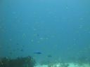 DSC00144.JPG