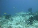 DSC00148.JPG