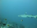 DSC00151.JPG