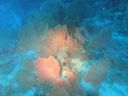 DSC00153.JPG