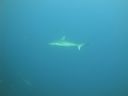 DSC00158.JPG