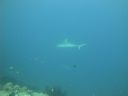 DSC00162.JPG