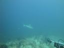 DSC00166.JPG