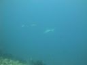 DSC00180.JPG