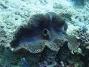 DSC00212.JPG