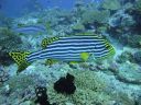 DSC00230.JPG