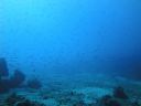 DSC00235.JPG