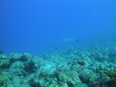 DSC00238.JPG