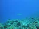 DSC00240.JPG