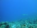 DSC00262.JPG