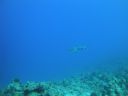 DSC00279.JPG