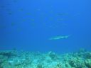 DSC00284.JPG