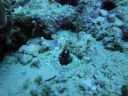 DSC00292.JPG