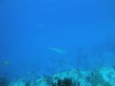 DSC00294.JPG