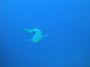 DSC00297.JPG